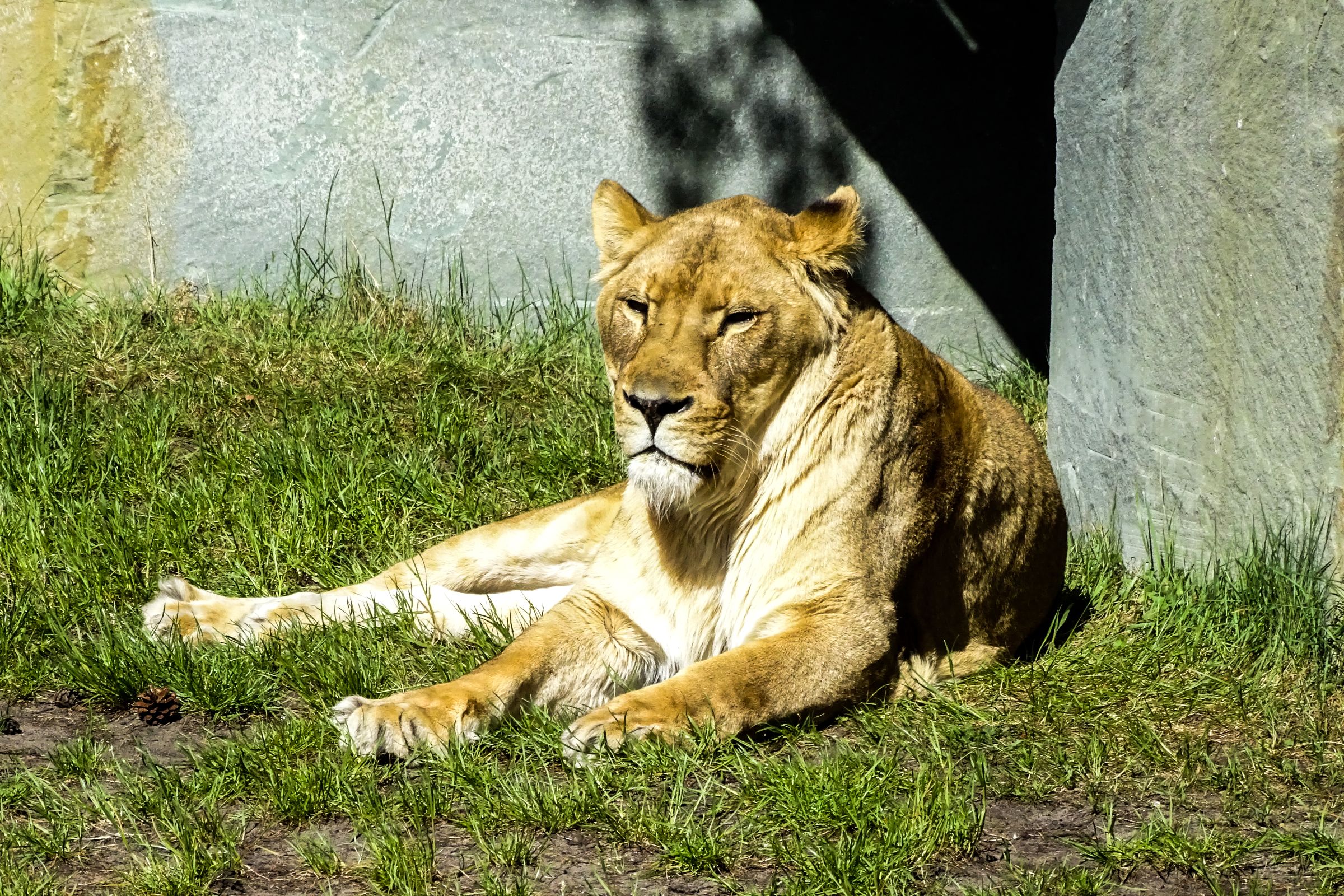 Safaripark Stukenbrock